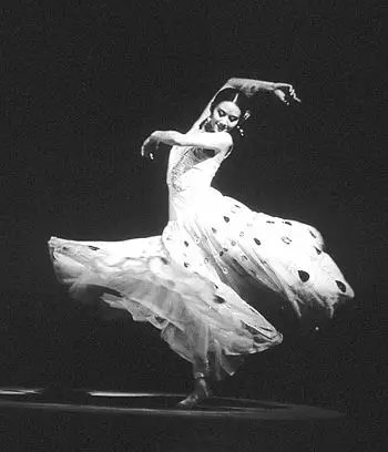 舞蹈家杨丽萍表演《雀之灵》