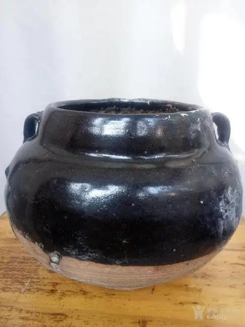 老黑釉罐金元双系罐