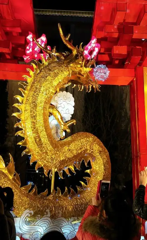 自拍太原花灯亮街头