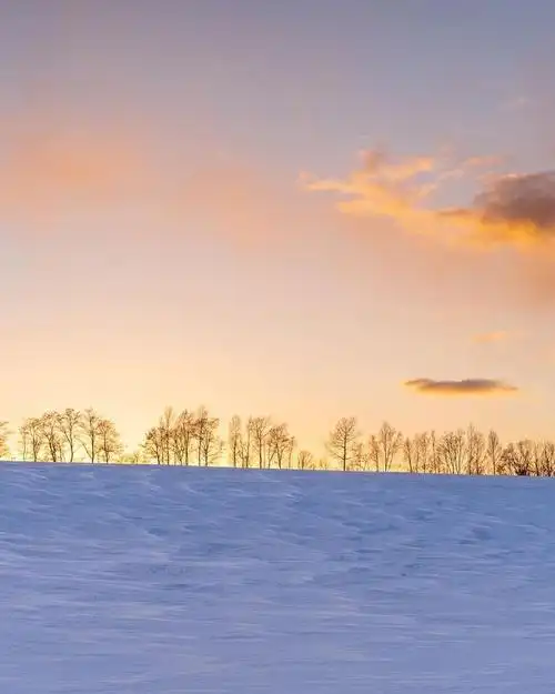 冬天雪景怎么拍好看4句雪景摄影口诀帮你拍美雪景照片