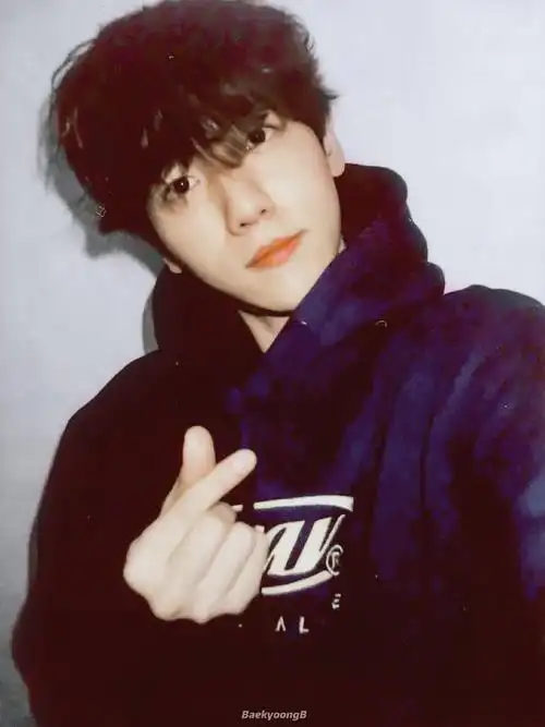 【图楼】边伯贤拍立得91(有更新)