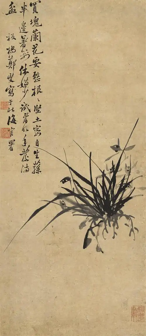 5平尺  纸本水墨  立轴    郑板桥  1693-1765  款识:买块兰花要整根