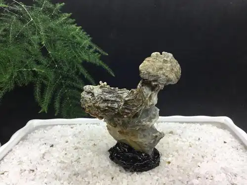 天然原石,新疆戈壁奇石. 石种:风凌石 产地:新疆 拍品编号:31979522