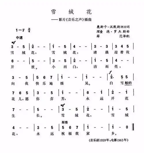 雪绒花歌词中文(雪绒花歌词中文歌曲)