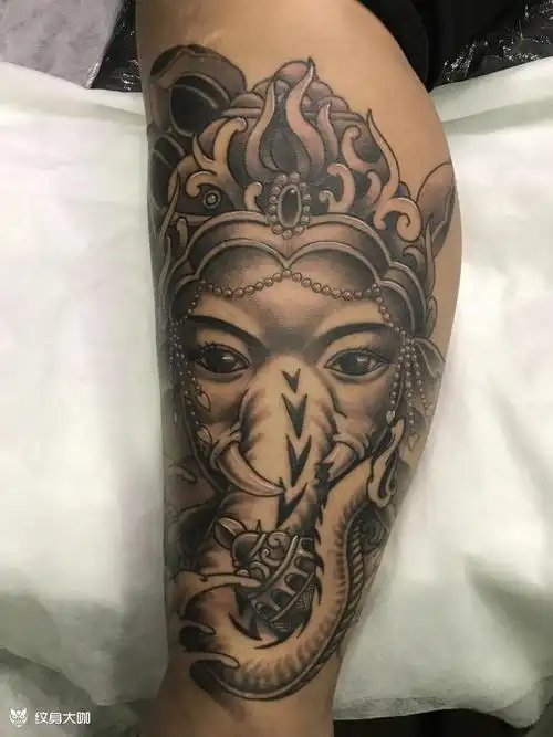 象神,小腿_纹身图案手稿图片_田林的纹身作品集