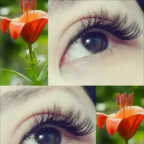 美睫- 0.06貂毛开花轻盈飞扬抖音同款