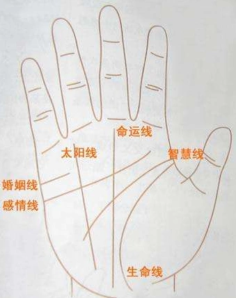 手中的智慧线如果有断开会对我们产生什么样的影响呢风水八字同城网