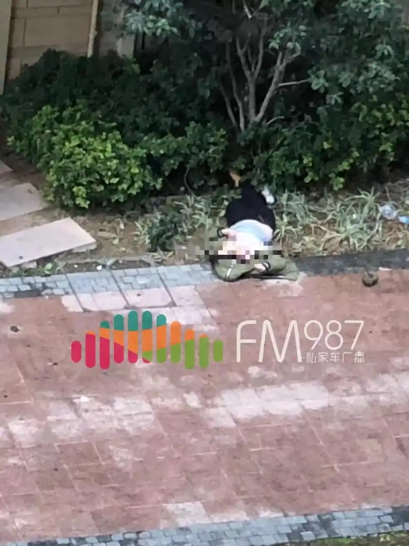 120和110随后赶到现场,医护人员对女子不断做心肺复苏,但已无回天之力