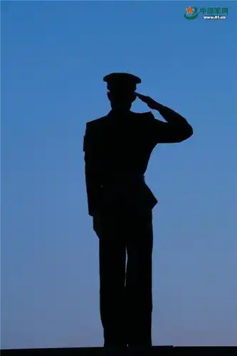 剪影|逆光下的他们一样很"迷人"