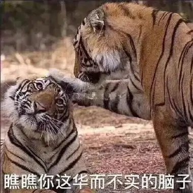 微信最火沙雕表情包精选搞笑沙雕聊天表情包