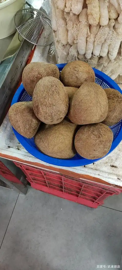 海底椰吃过没见过怎么生长的