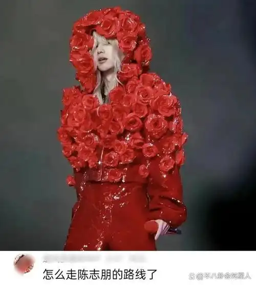 华晨宇演唱会造型曝光,金发浓妆撞脸鞠婧祎,评论区