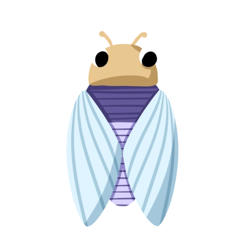 夏季木墩大树年轮昆虫知了