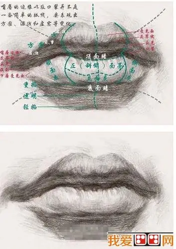 素描嘴巴的绘画教程