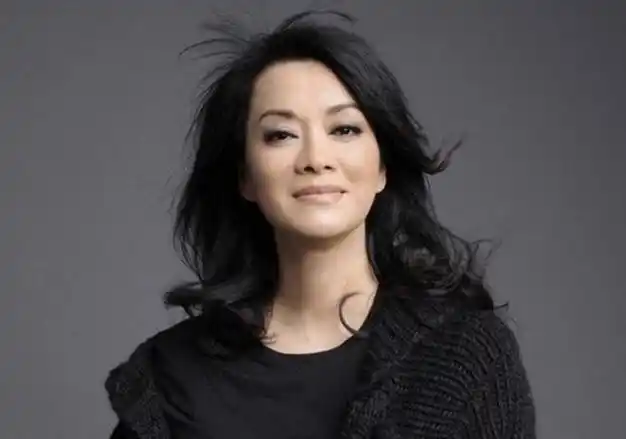 回顾歌手毛阿敏39岁嫁给解直锟丈夫病逝后留下未成年的儿女