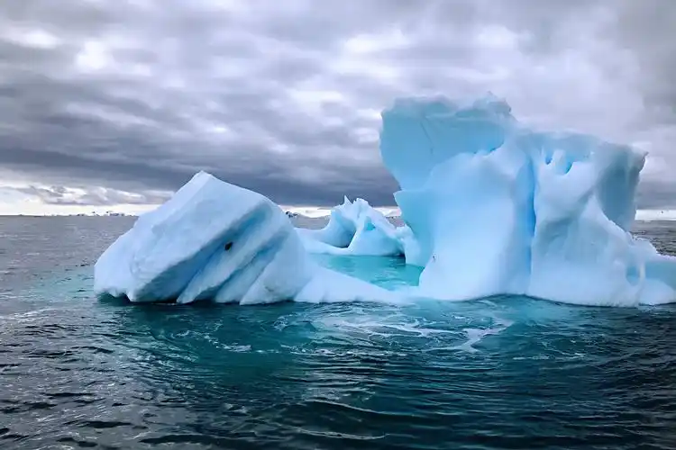 南极不难及-南美四国-南极探险之旅(五)