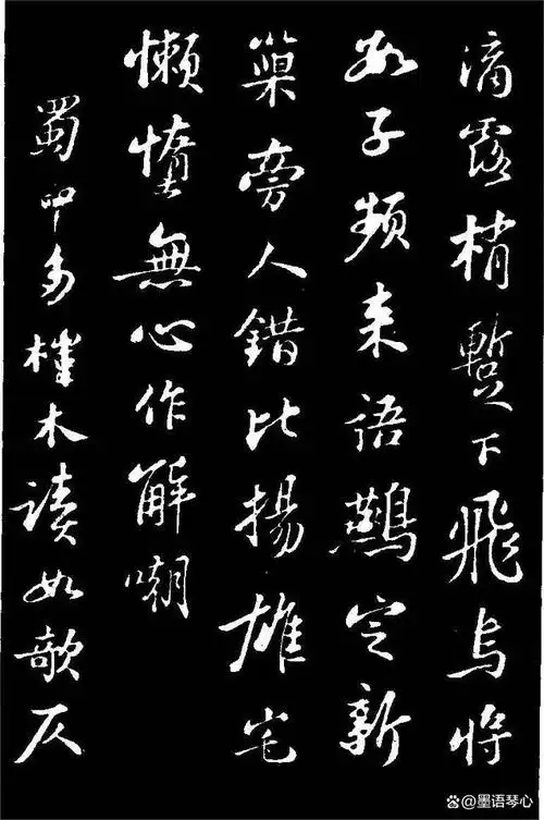 苏轼行书《书杜诗帖》黑底白字