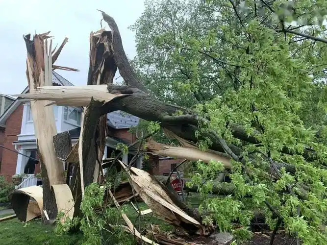 渥太华遇130kmh大风极端雷暴大批电杆和树木折断12万户断电或需明日