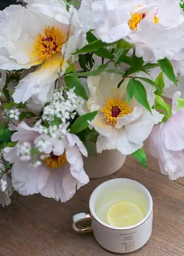 华美大气的牡丹佳人. - 堆糖,美图壁纸兴趣社区