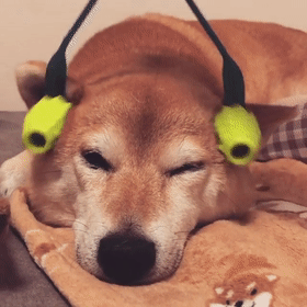 280_280gif 动态图 动图