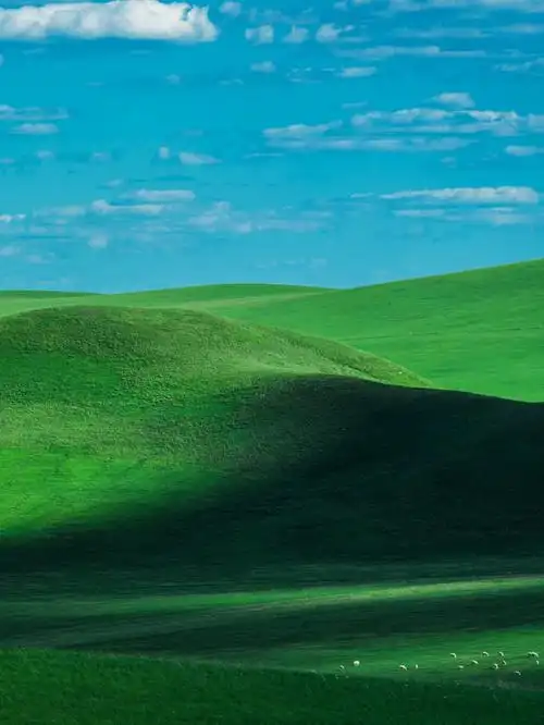 大数据请把这片草原推荐给喜欢绿色的朋友