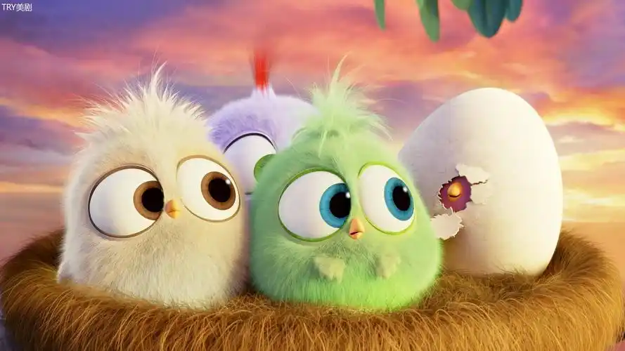 愤怒的小鸟 可爱 - 堆糖,美图壁纸兴趣社区