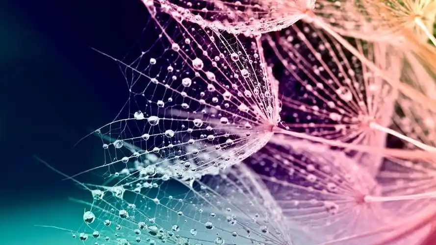 简约炫彩设计创意桌面壁纸