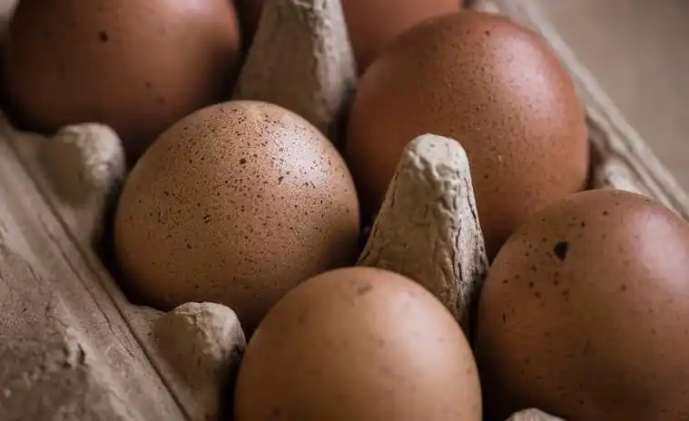 盒子里的生鸡蛋