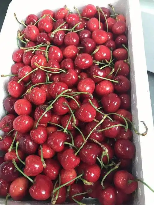 姐妹们一定试试比萨米脱好吃的斯坦勒樱桃