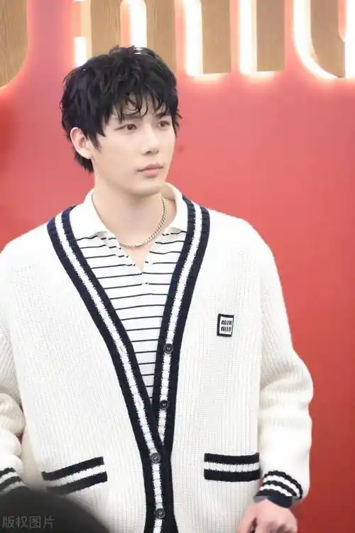 王安宇——颜值巅峰的魅力