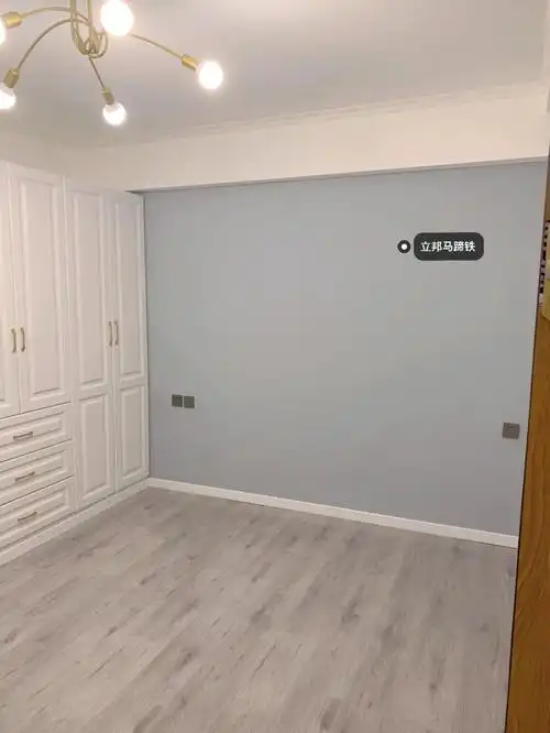 小红书上种草了马蹄铁的颜色,在实体店买了一桶立邦漆,直接让商家用