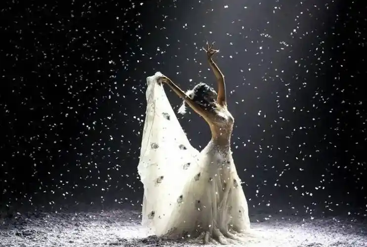 原创杨丽萍为艺术拒绝生育赢了事业却输了家庭到底值得吗