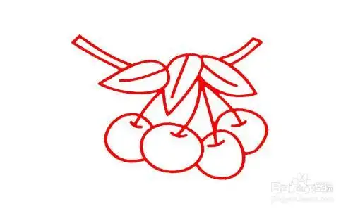 如何简笔画樱桃花