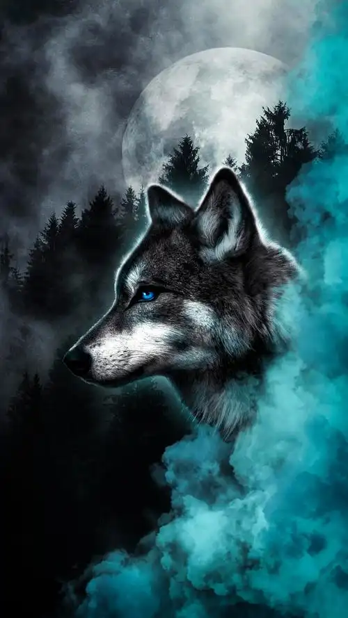 4k壁纸|狼,经过无数次残酷争斗,在狼的世界,只相信强者