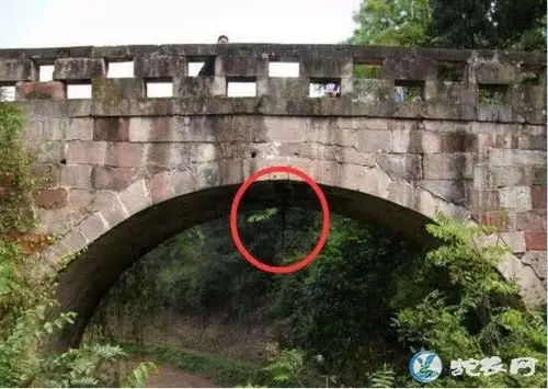 走蛟封正报恩的故事分享!