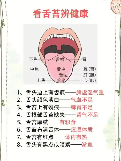 1分钟学会看舌诊判断自己的健康情况