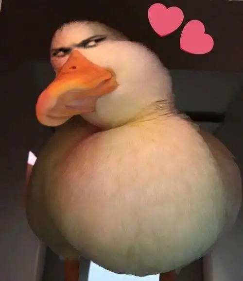 小鸭子小心心_小鸭子_小心表情