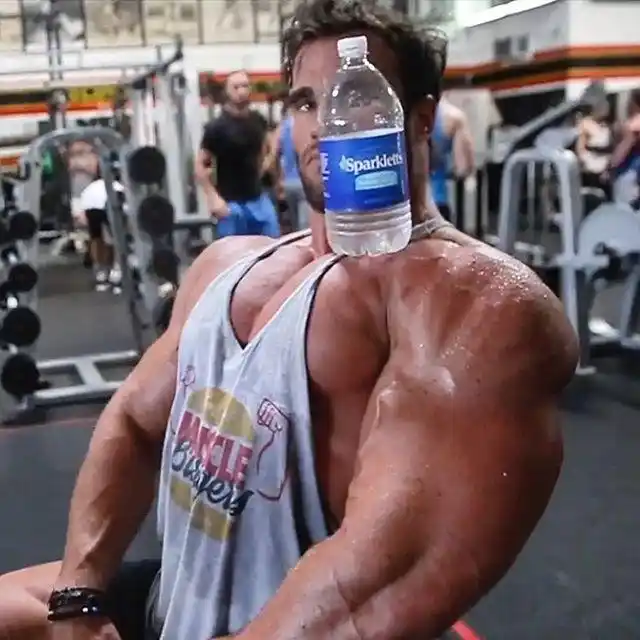 伦姆因其强壮的肌肉,以及神似施瓦辛格的模样被很多网友誉为"小阿诺"