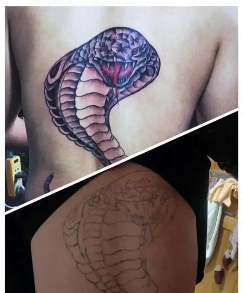 眼镜蛇纹身图片_背部老传统纹身图案
