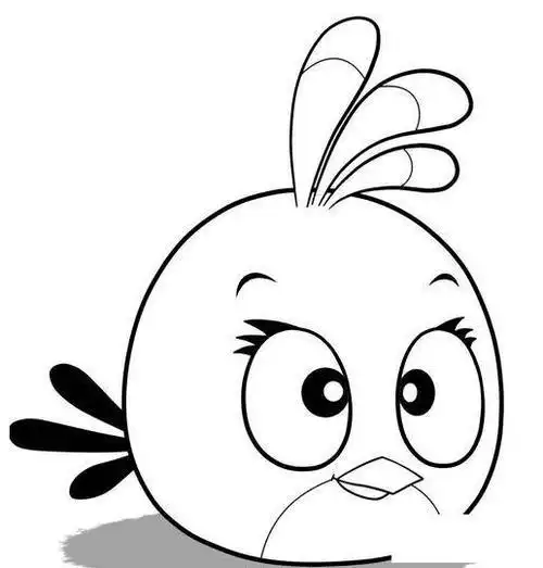 愤怒小鸟卡通简笔画