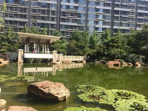 【北京富力城d区小区,二手房,租房】- 北京房天下