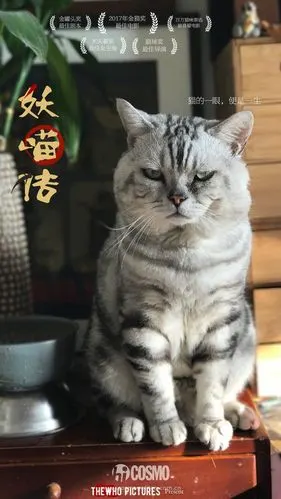 美人计妖猫传张雨绮张天爱好看吧她们的妆容你也能学会