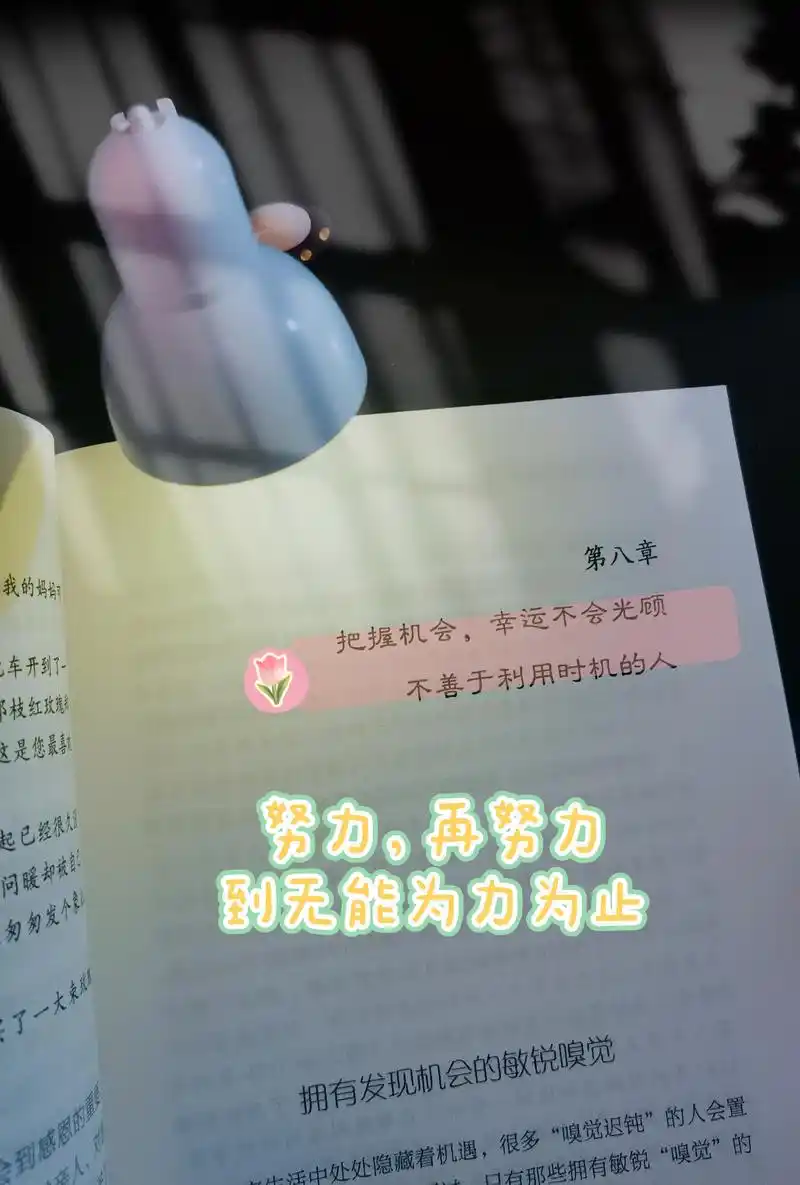 你努力赚钱的样子虽狼狈但很美