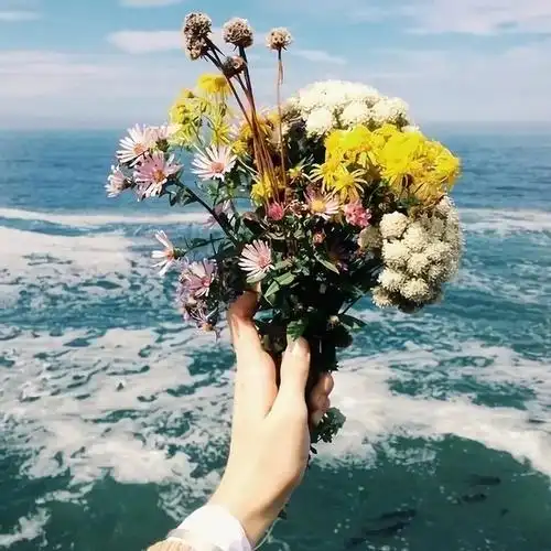 中ui设置背景图片_50张非常好看的微信朋友圈封面背景图片大全 都是你