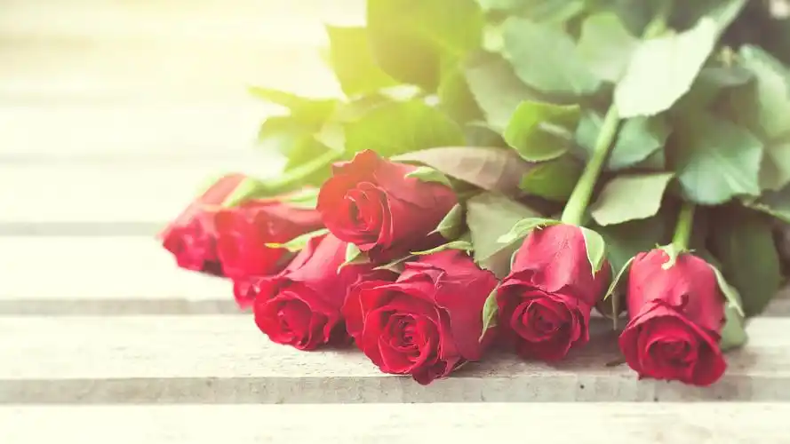 首页 鲜花 玫瑰 红玫瑰,花束,眩光 壁纸 当前尺寸:3840x2160,你可以