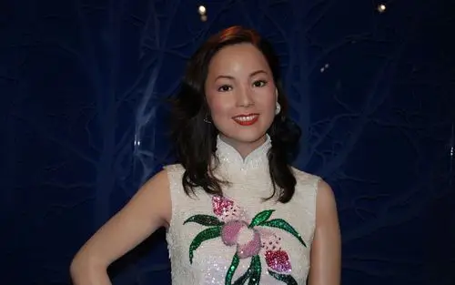 邓丽君壁纸