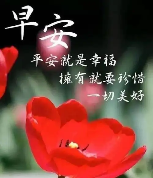 祝福老人的话早上好问候语句子和图片中老年人早晨祝福表情包