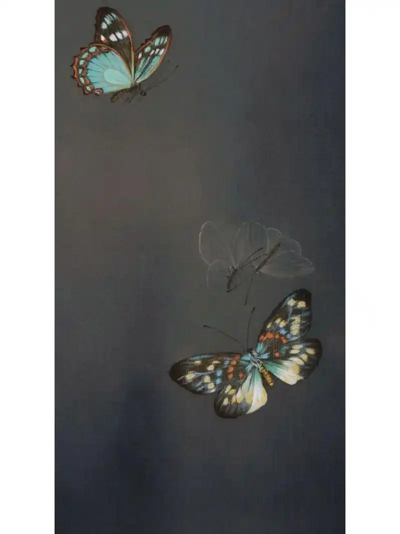 工笔|写生蝴蝶 墨色与石色的相遇