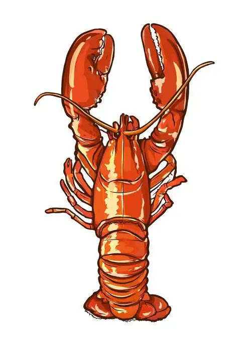 小龙虾食品插画包装设计