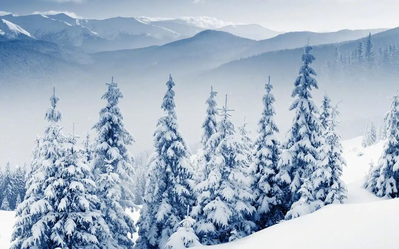 冬日唯美雪景图片电脑壁纸